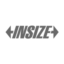 Insize 